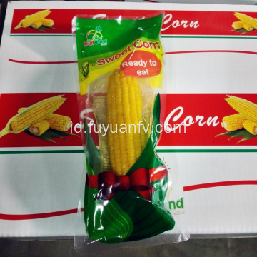 Buah jagung berkualitas tinggi